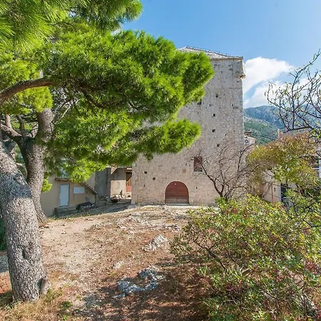 Sonja * إيغراني